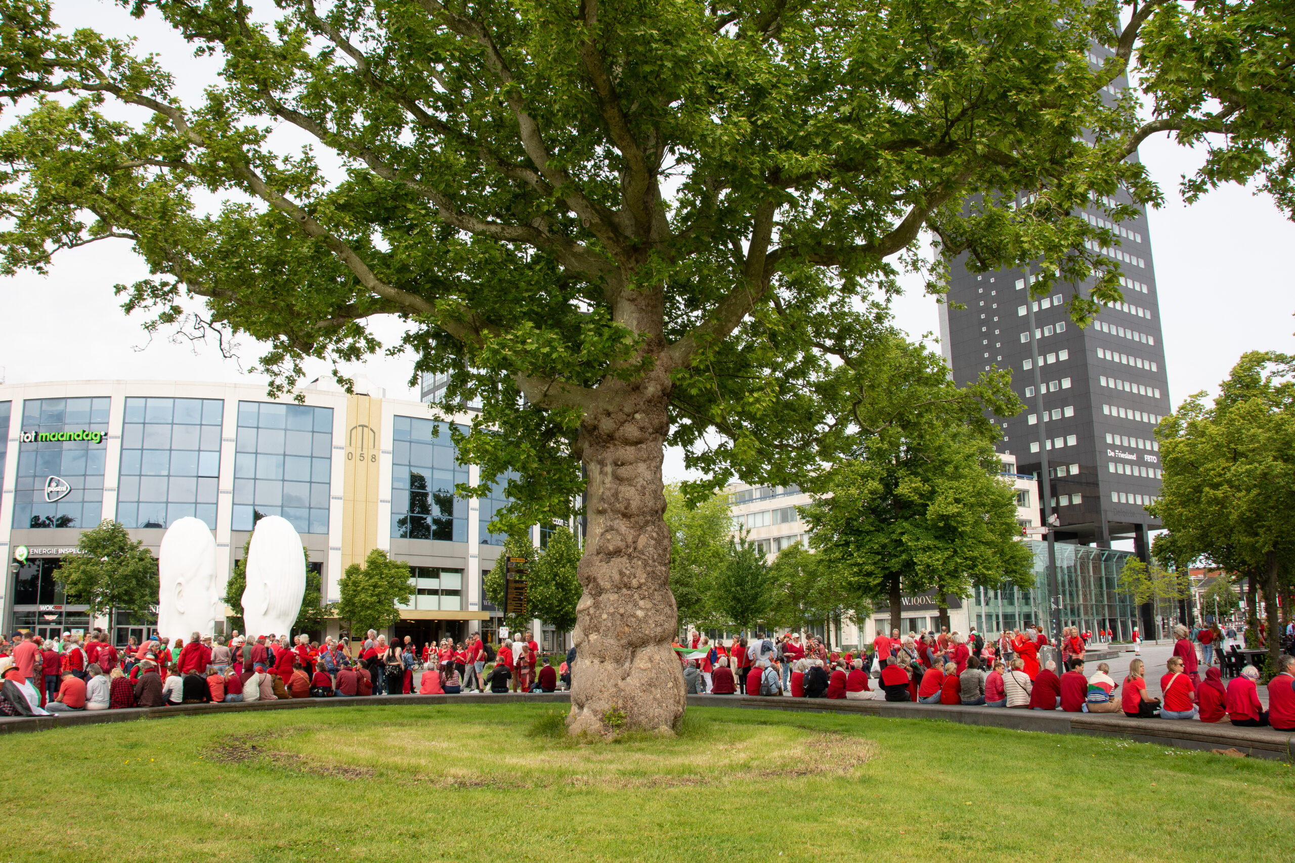 De Stem van SL!M: samen en van onderaf